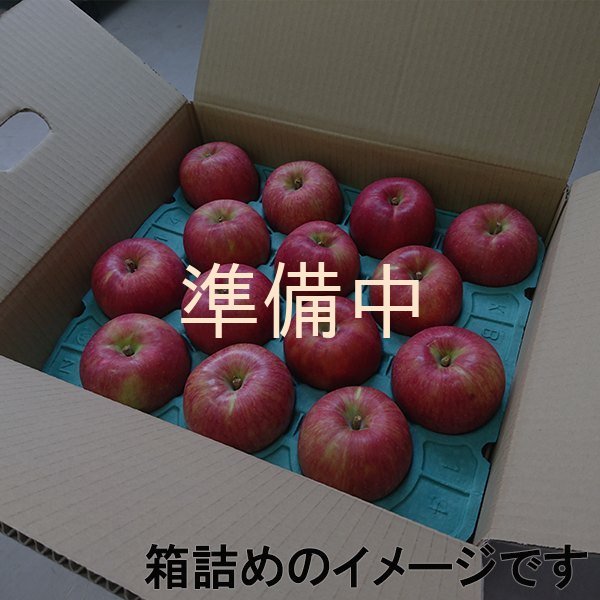画像2: サンふじ贈答5キロ箱サイズ  【送料別】 (2)