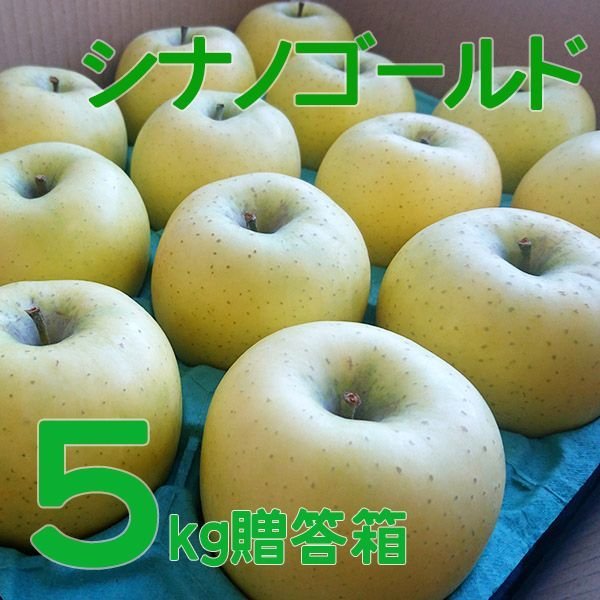 画像1: シナノゴールド贈答5キロ箱 サイズ 【送料別】 (1)