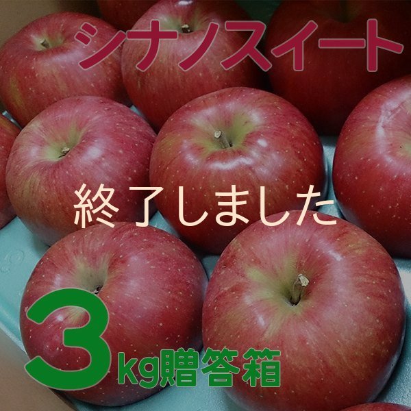 画像1: シナノスイート贈答3キロ箱 サイズ 【送料別】 (1)