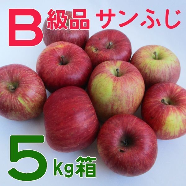 画像1: サンふじＢ級５キロ箱サイズ 　【送料別】 (1)