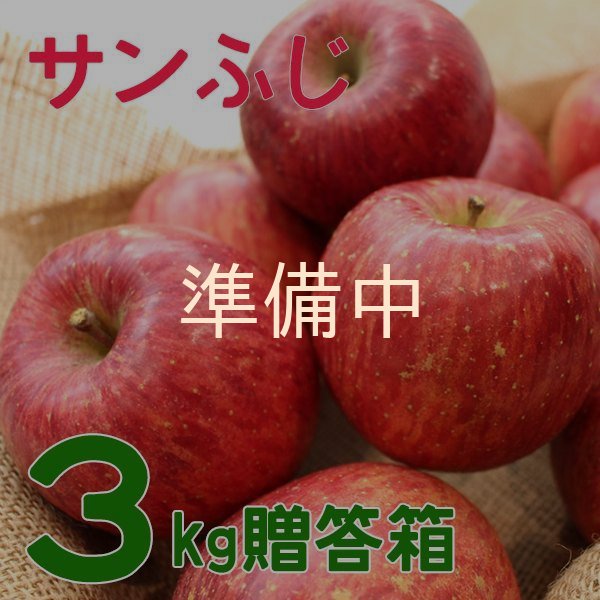 画像1: サンふじ贈答３キロ箱サイズ　 【送料込み】 (1)