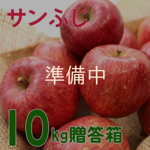画像1: サンふじ贈答１０キロ箱サイズ 【送料別】 (1)