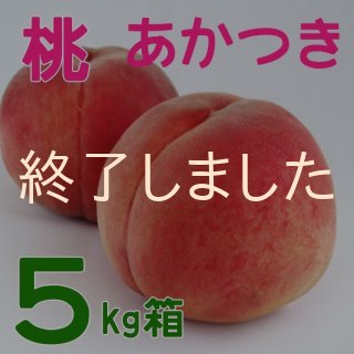 全商品 - 市田柿専門店 金の柿