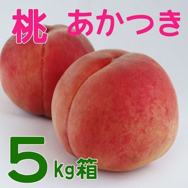 画像1: あかつき贈答品５キロ箱サイズ【送料・クール代別途】 (1)