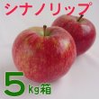 画像1: シナノリップ贈答５キロ箱サイズ 【送料込み】 (1)