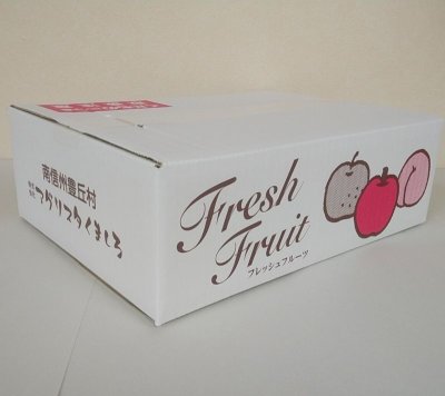 画像1: サンふじＢ級５キロ箱サイズ 　【送料別】