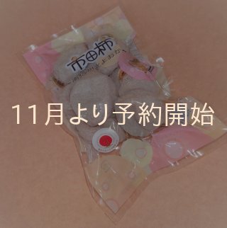 市田柿（干し柿）｜市田柿専門店 金の柿 (Page 1)