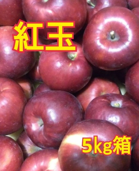 画像1: 紅玉５ｋｇサイズ箱 【送料別】 (1)