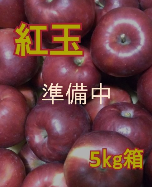 画像1: 紅玉５ｋｇサイズ箱 【送料別】 (1)