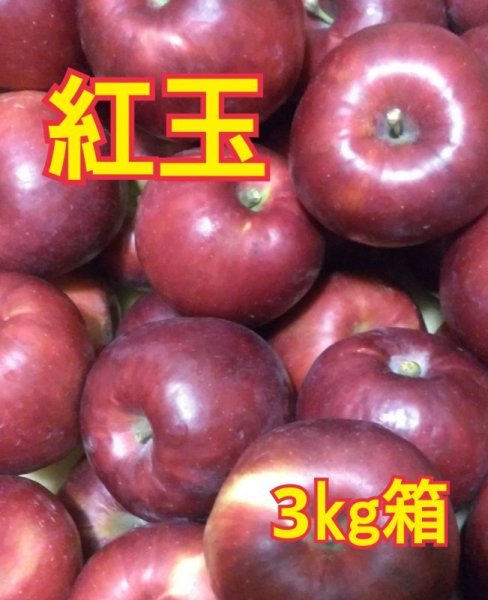 画像1: 紅玉３ｋｇサイズ箱 【送料別】 (1)