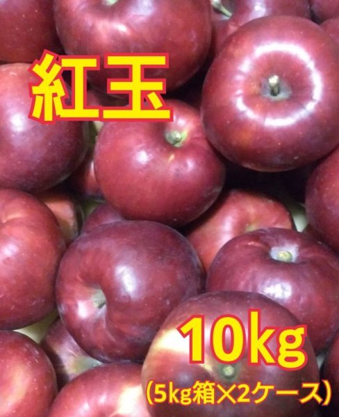 画像1: 紅玉１０キロ（５ｋｇサイズ箱２ケース） 【送料別】 (1)