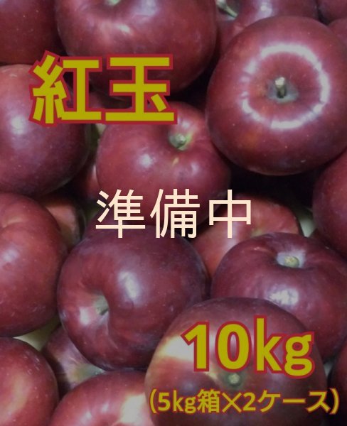 画像1: 紅玉１０キロ（５ｋｇサイズ箱２ケース） 【送料別】 (1)