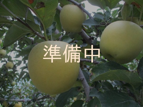 画像3: シナノゴールド贈答１０キロサイズ 【送料別】 (3)