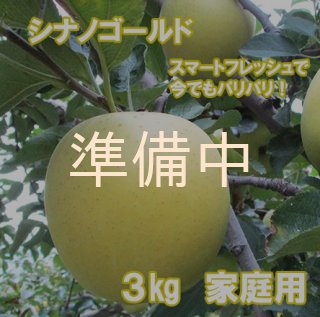 スマートフレッシュ - 市田柿専門店 金の柿