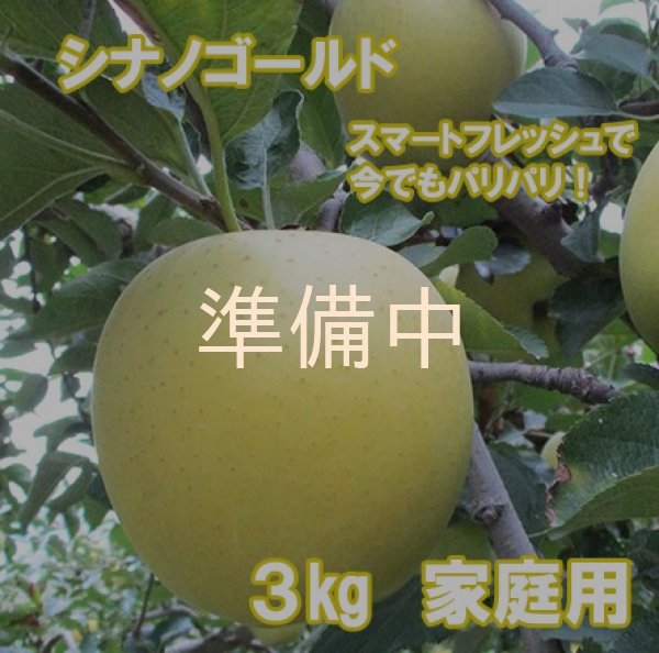 画像1: スマートフレッシュで今でもパリパリ！シナノゴールド自家用３キロ箱サイズ　 【送料別・4月よりクール代別途】 (1)