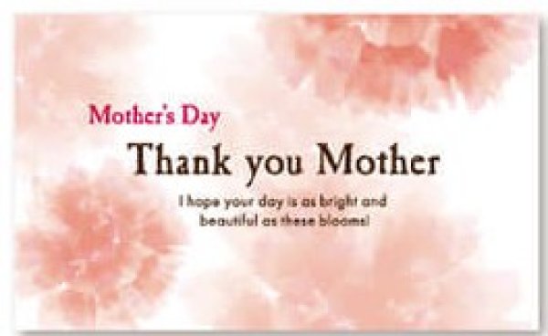 画像6: ギフトチケット（加工品用） (6)