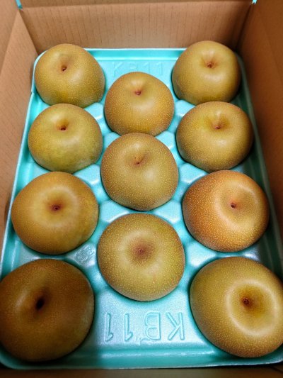 画像1: あきづき 秀品2キロサイズ箱 【送料別】