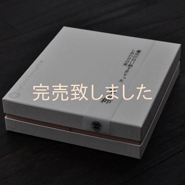 画像2: 市田柿白箱１０袋入　魔法の白い粉をまとったしあわせの実 （2個包×10袋） (2)