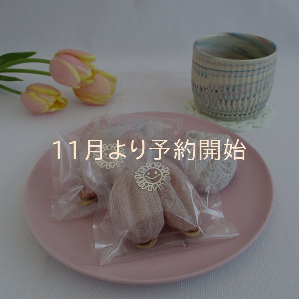 画像3: 市田柿白箱10袋入 魔法の白い粉をまとったしあわせの実 (2個包×10袋) (3)