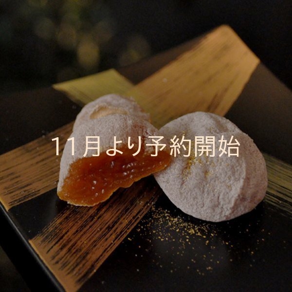 市田柿金の柿プレミアム「極」 9個入｜市田柿（干し柿）｜市田柿
