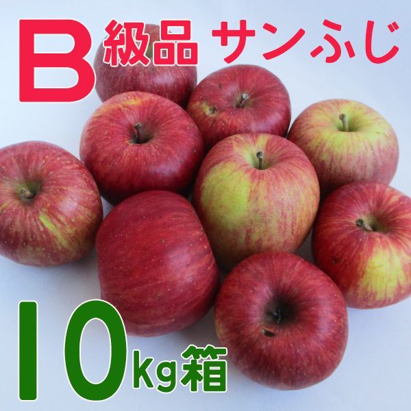 りんご　10キロ