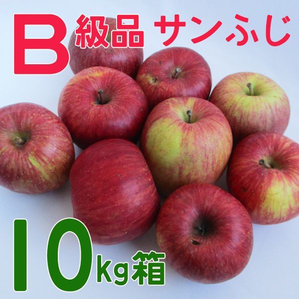 サンふじＢ級１０キロ箱サイズ 【送料込み】