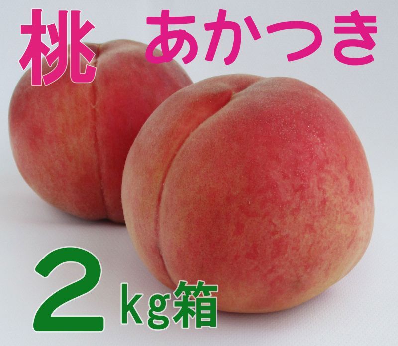 あかつき 秀品 ２キロ ８玉×２箱